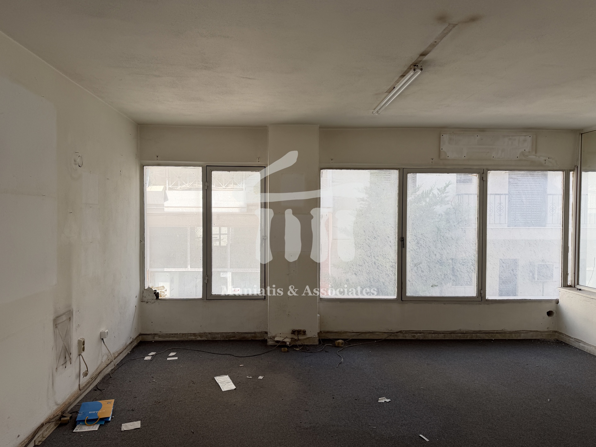 Gallery image 12