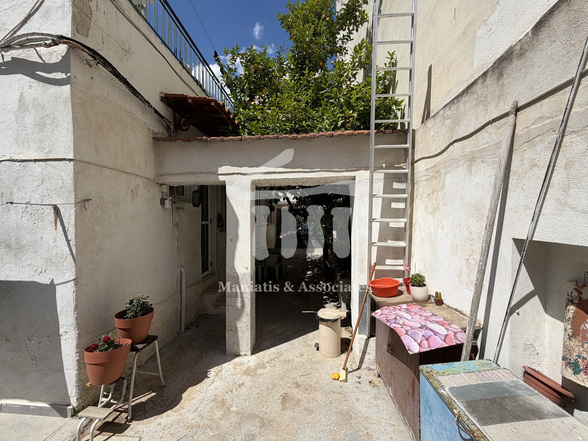 Gallery image 7