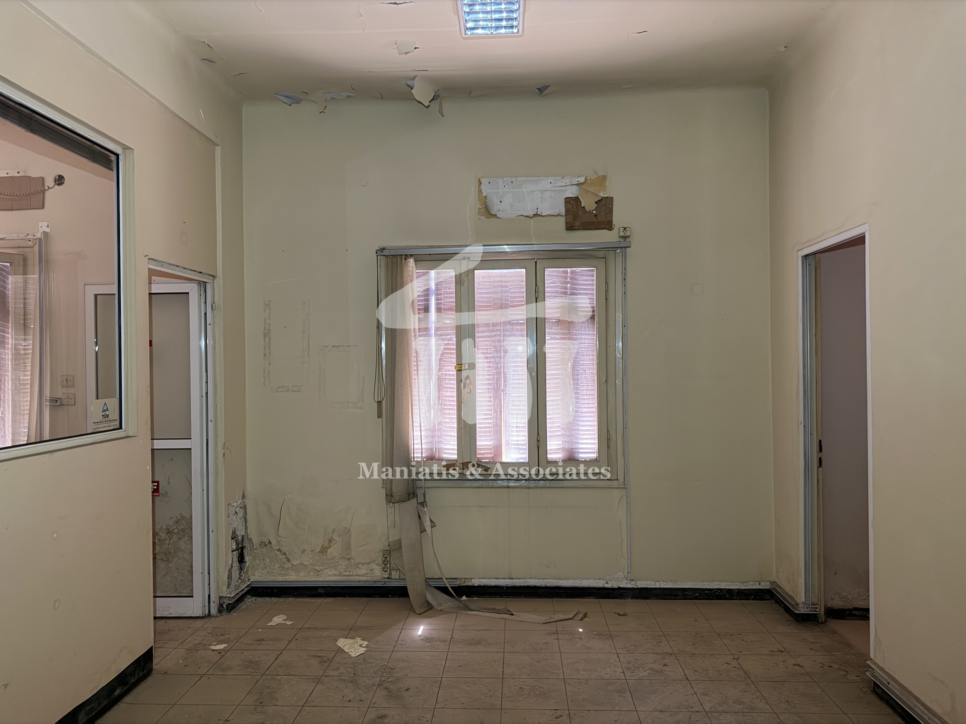 Gallery image 8