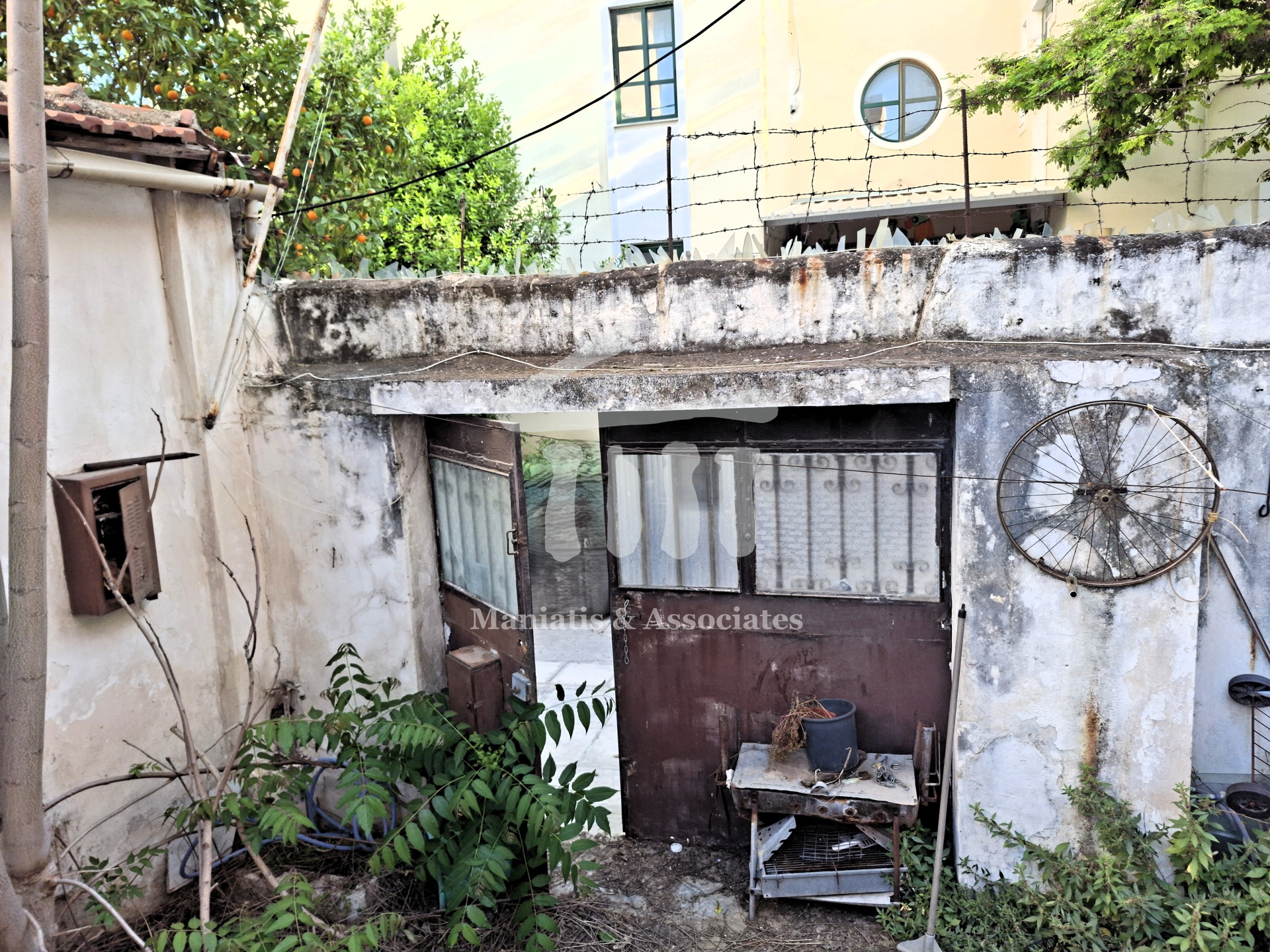 Gallery image 10