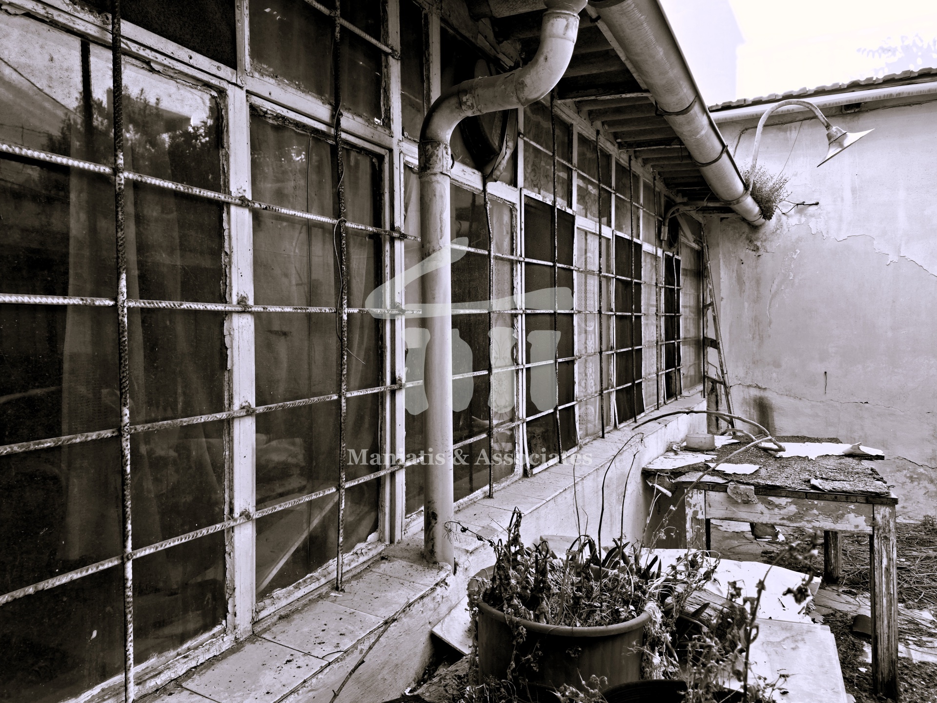 Gallery image 5