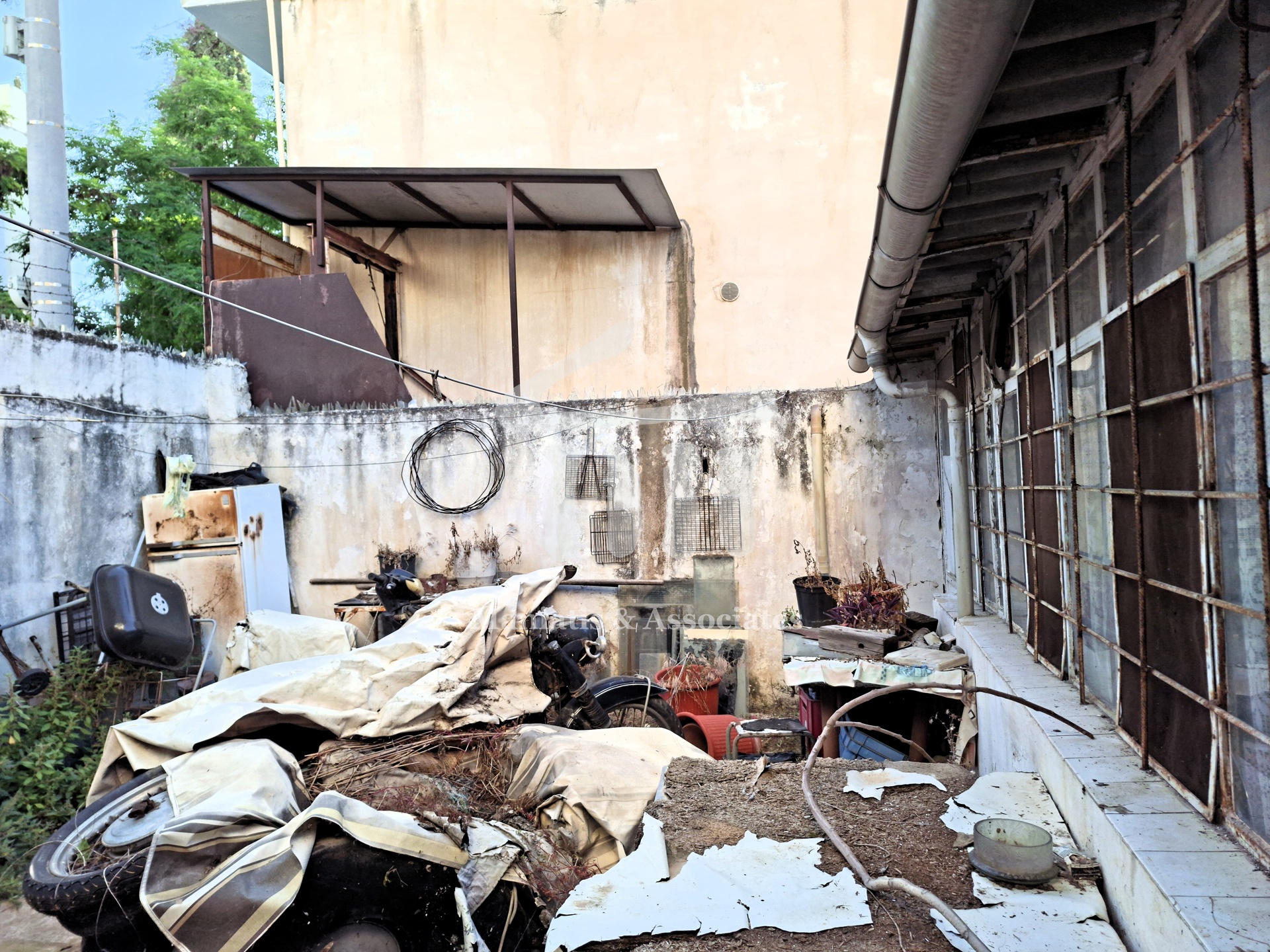 Gallery image 6