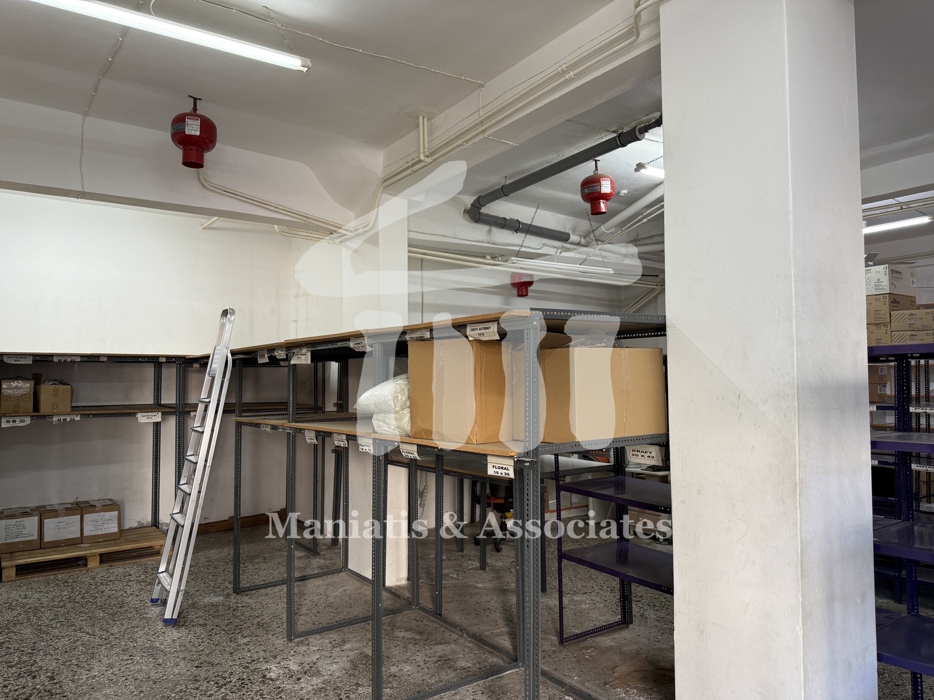 Gallery image 6