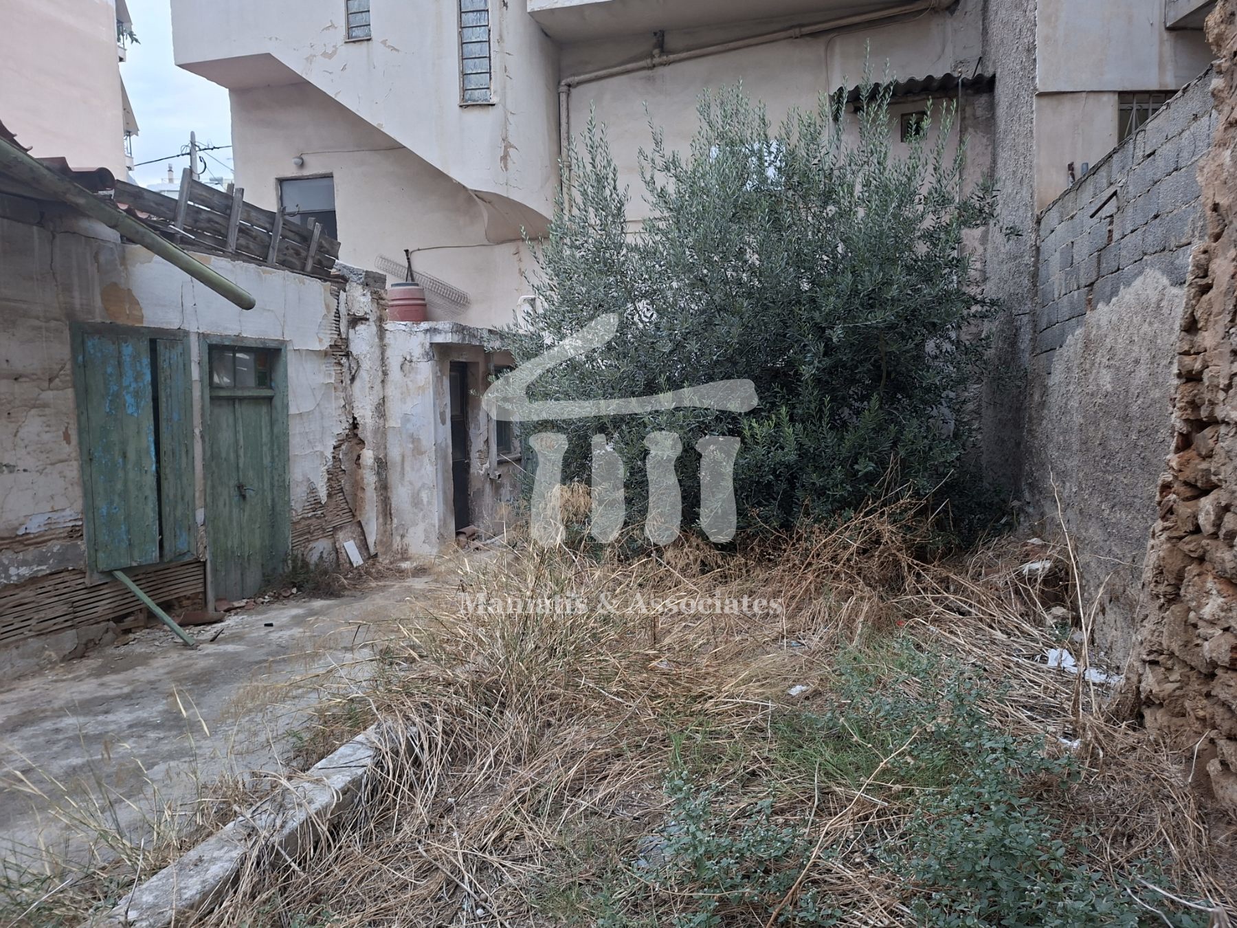 Gallery image 15