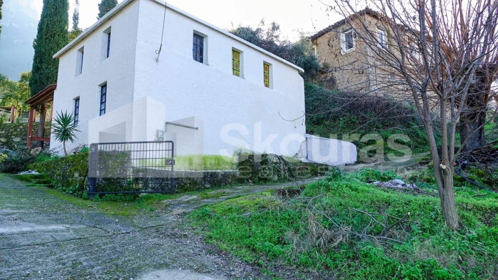 Gallery image 17