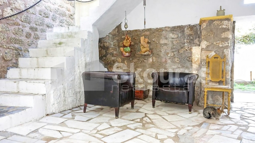 Gallery image 19