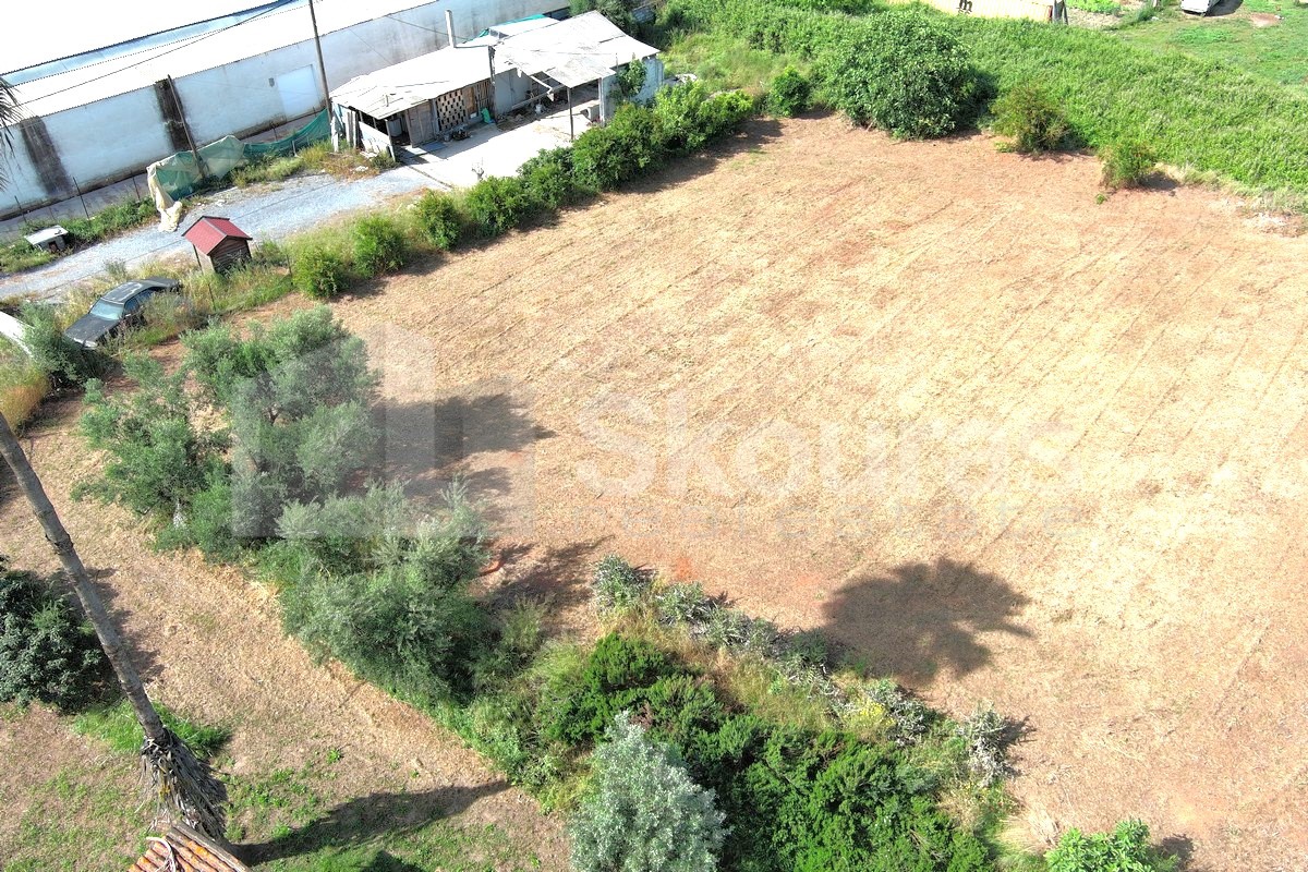 Gallery image 16