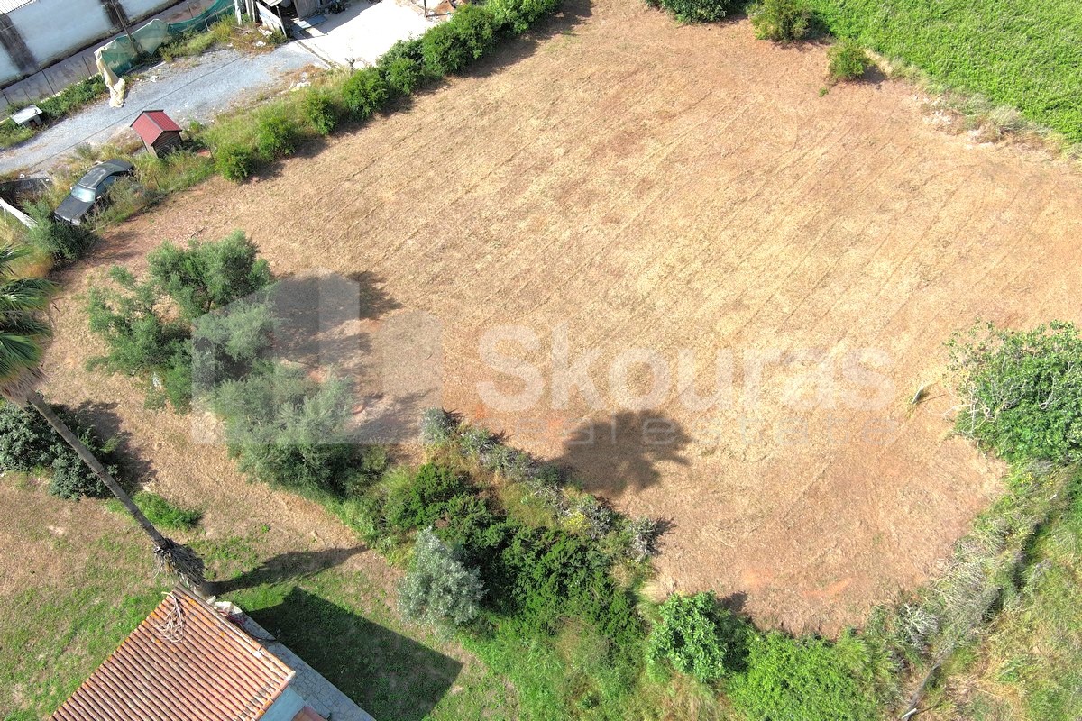 Gallery image 15