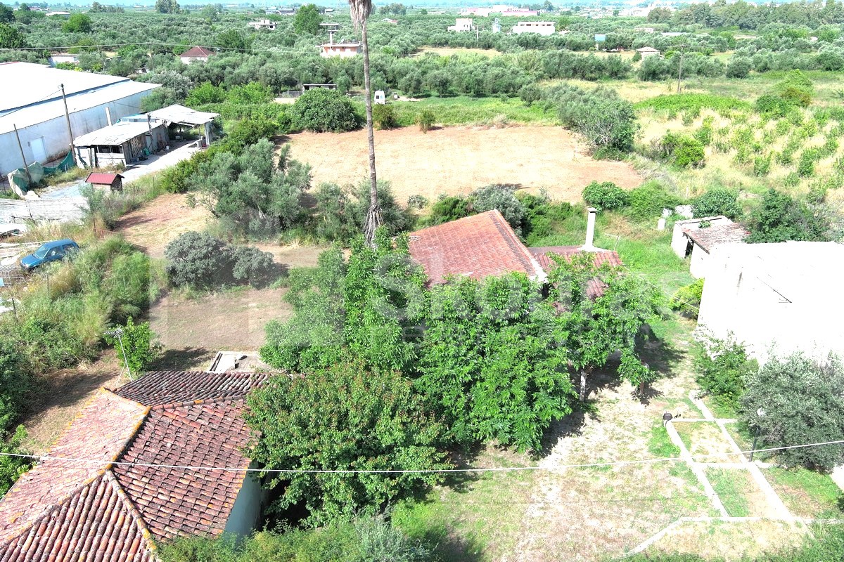 Gallery image 27