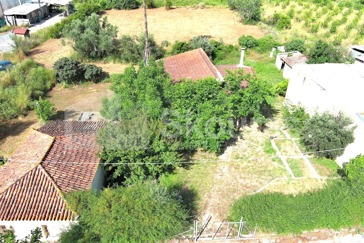 Gallery image 22