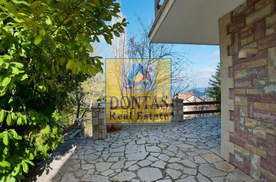 Gallery image 21