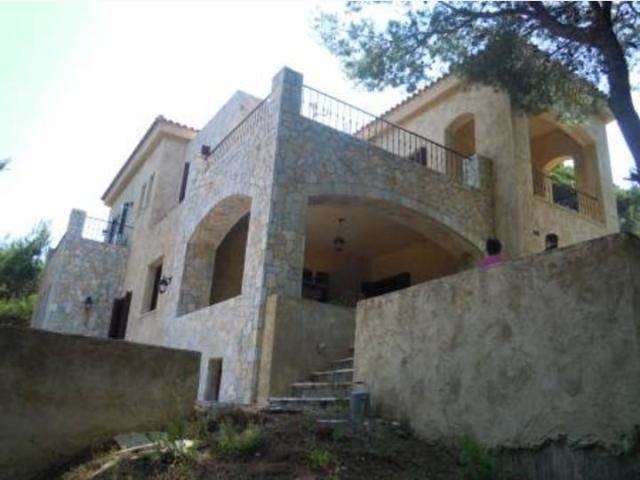 Gallery image 23