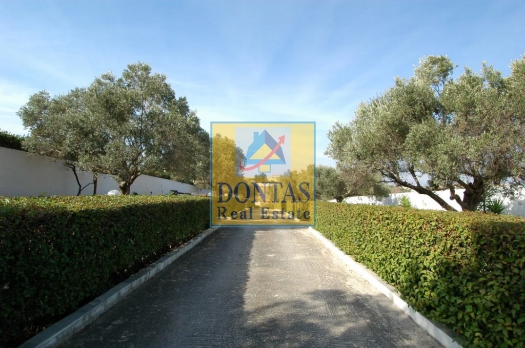 Gallery image 13