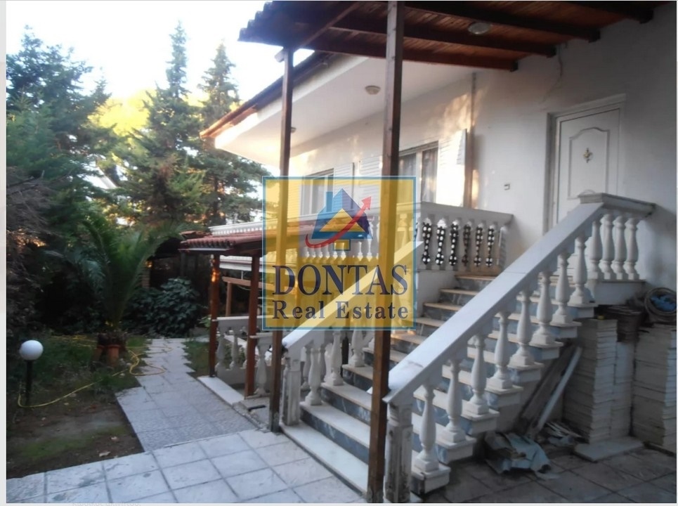 Gallery image 17