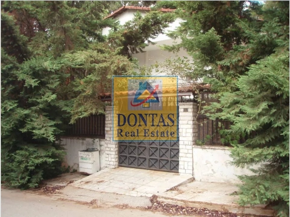 Gallery image 11
