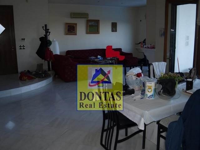 Gallery image 8