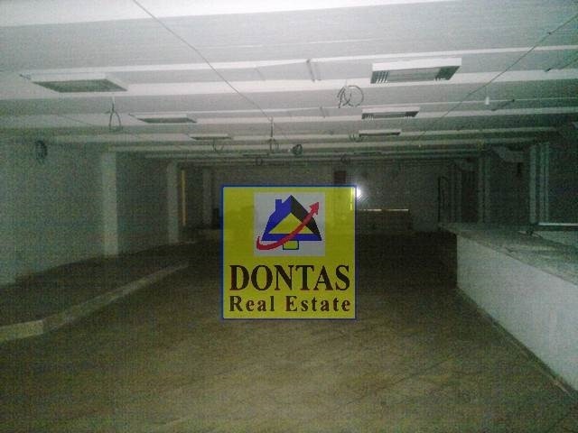 Gallery image 7