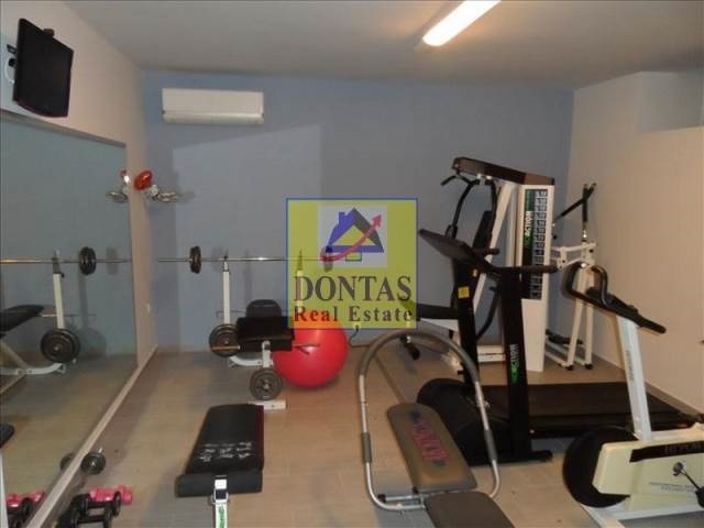 Gallery image 15