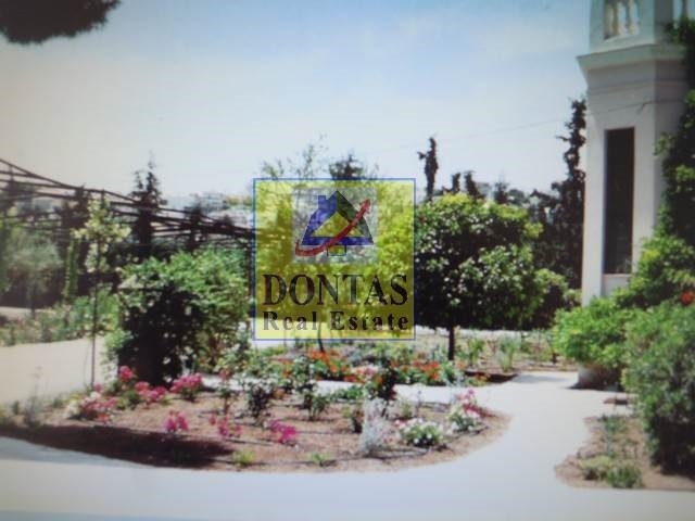 Gallery image 21