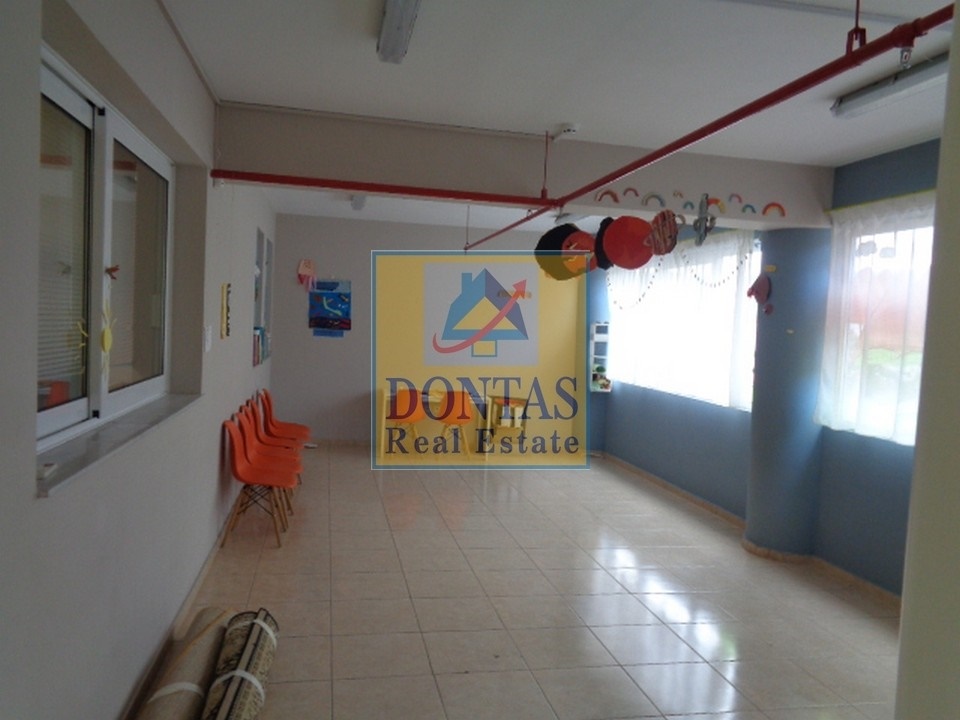 Gallery image 12