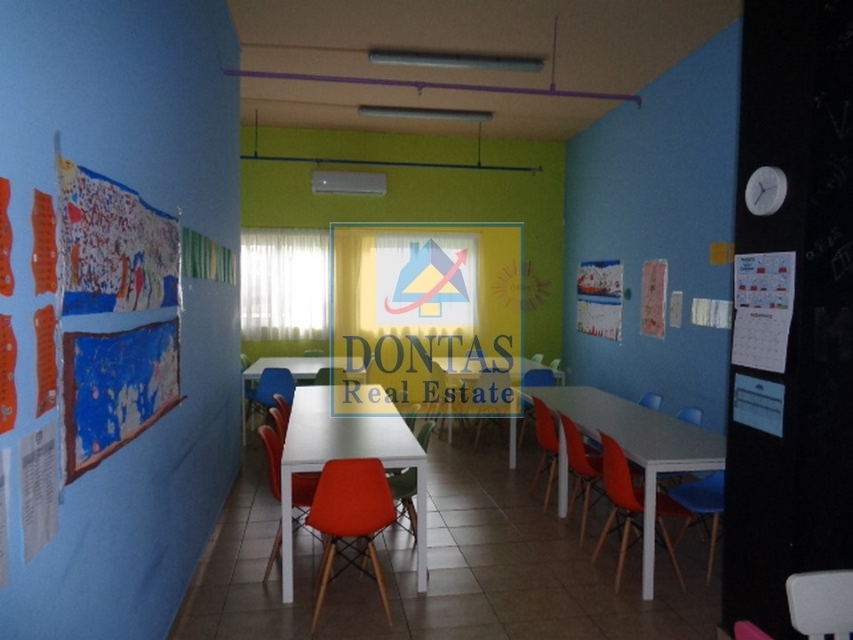 Gallery image 10