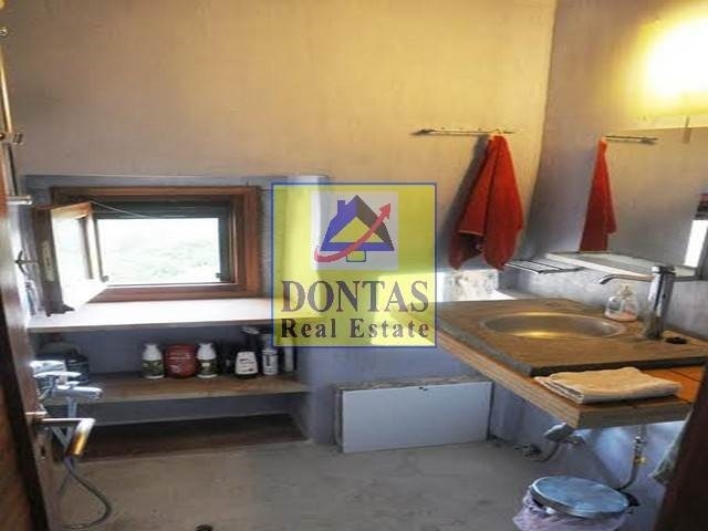 Gallery image 12