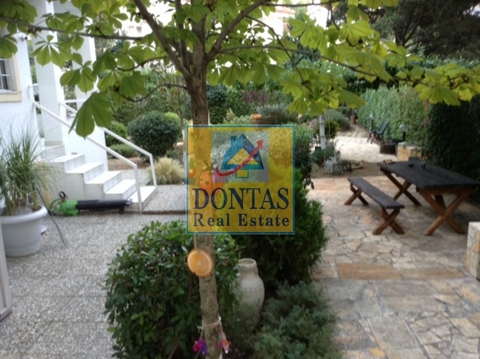 Gallery image 11