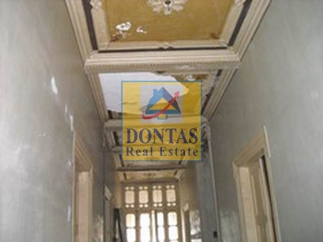 Gallery image 7