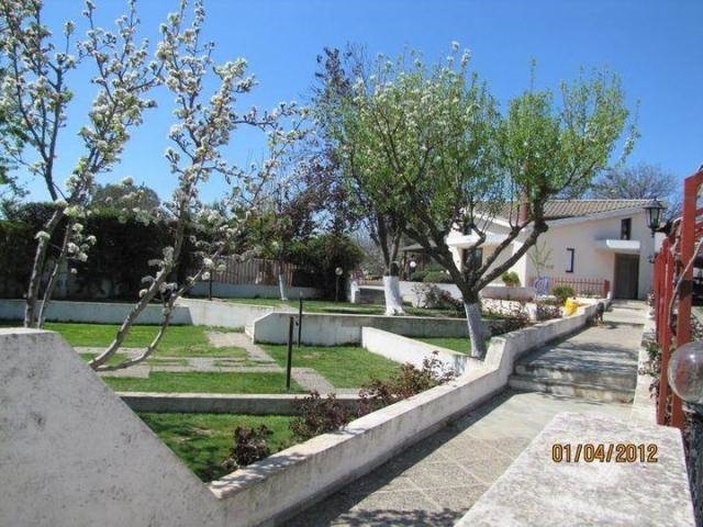 Gallery image 4