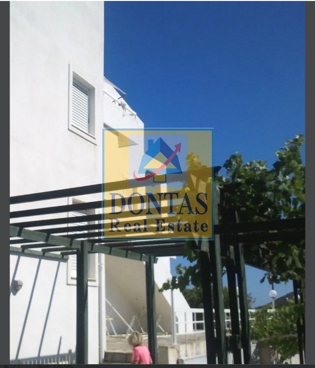 Gallery image 18