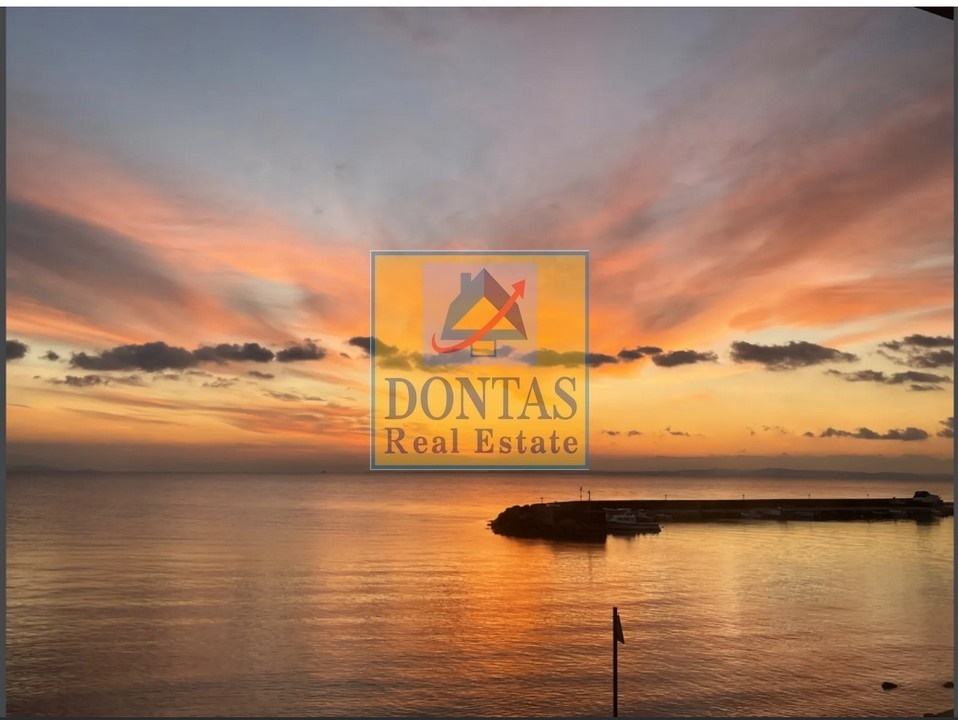 Gallery image 14
