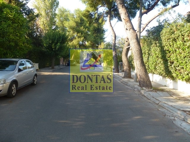 Gallery image 15