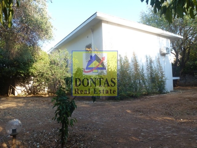 Gallery image 10