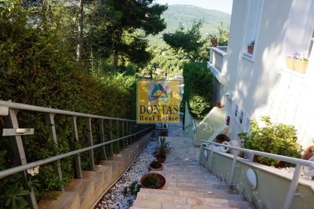 Gallery image 9