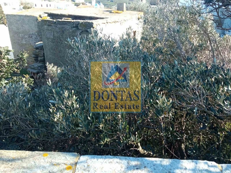 Gallery image 6