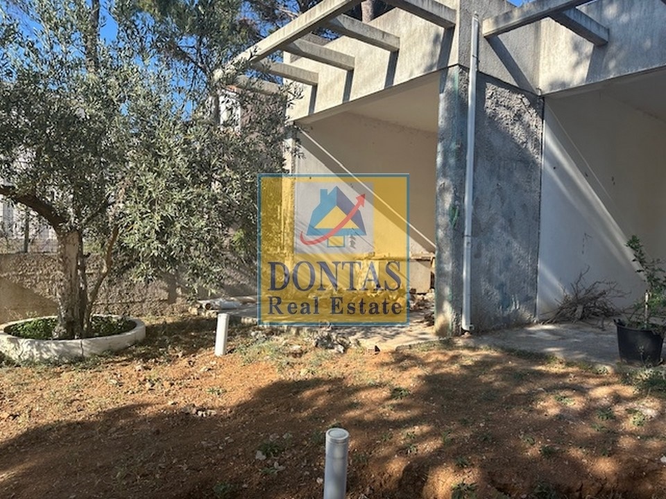 Gallery image 14
