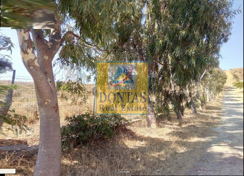 Gallery image 11