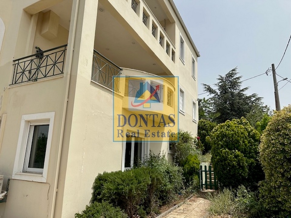 Gallery image 21