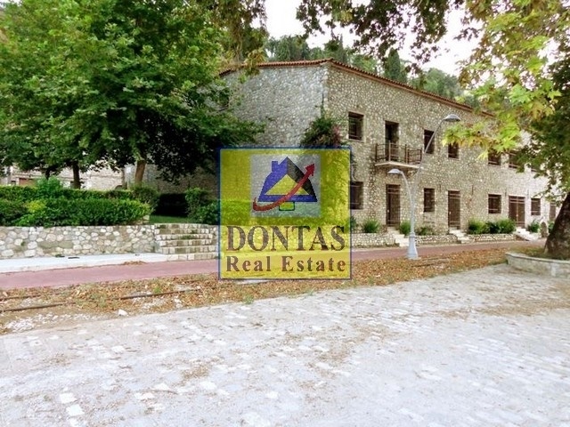 Gallery image 21