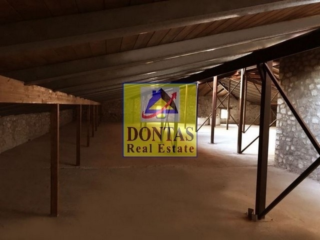 Gallery image 10