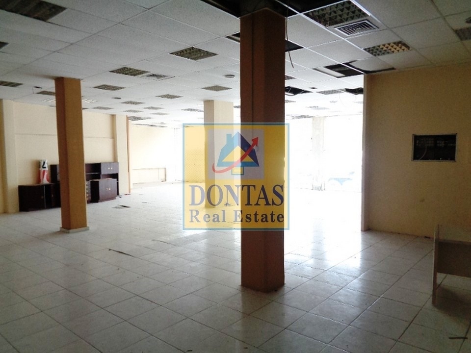 Gallery image 11