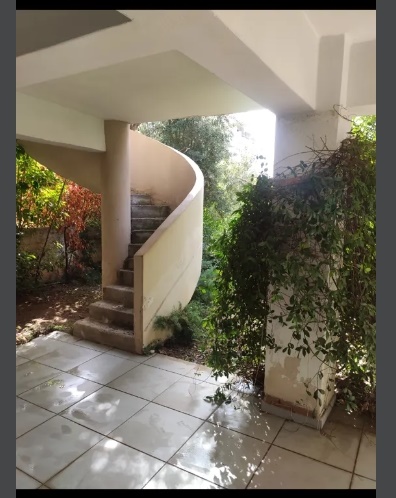 Gallery image 19
