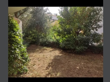 Gallery image 20