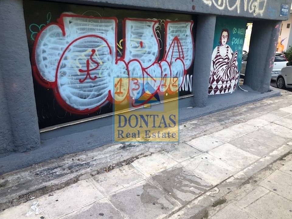 Gallery image 16