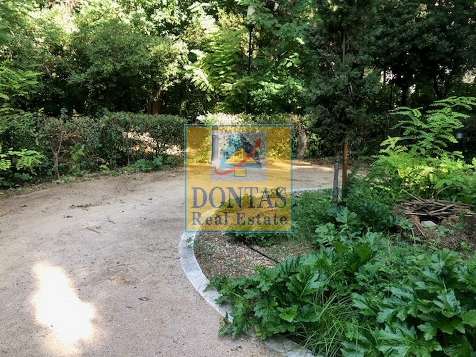 Gallery image 17