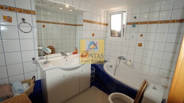 Gallery image 13