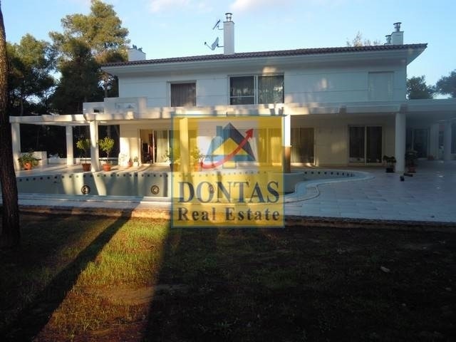 Gallery image 21
