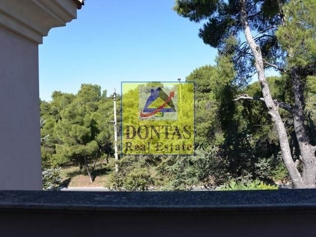 Gallery image 22