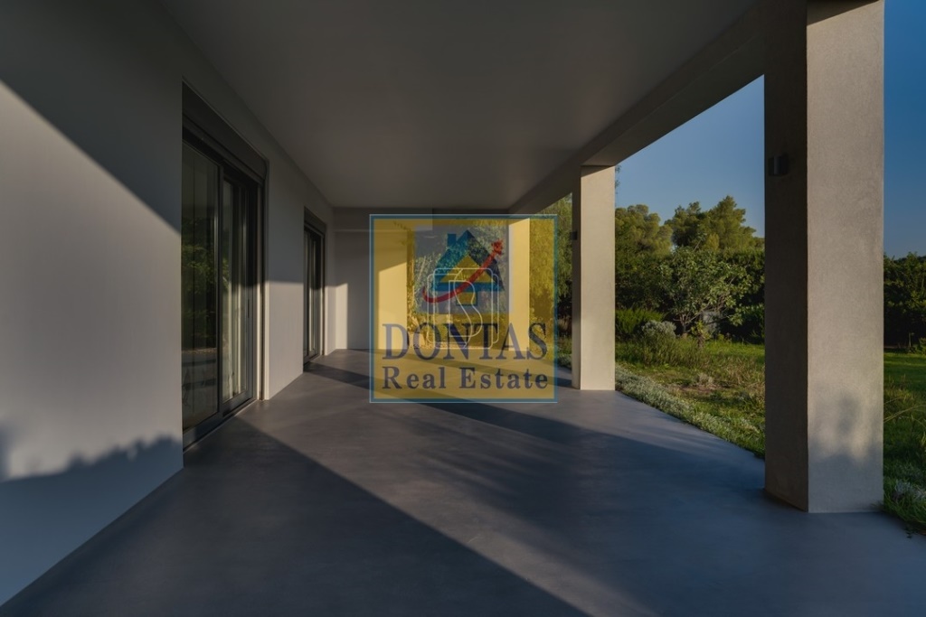 Gallery image 12