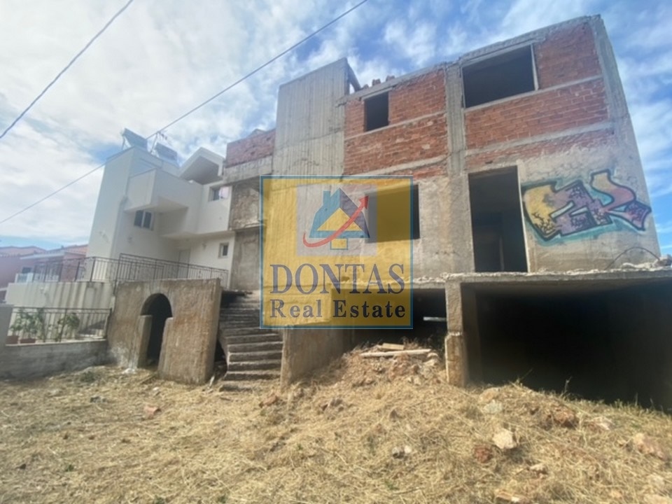 Gallery image 14